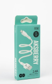 AKSBERRY (6972969383224)X155 для MicroUSB 1м 24A (белый)