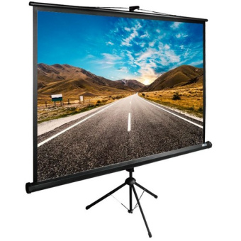 Экран Cactus CS-PSTE-160X160-BK
