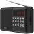 Радиоприемник Ritmix RPR-001 BLACK черный Радиоприемник Ritmix RPR-001 BLACK черный